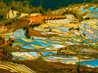 昆明旅游六日游多少钱_去昆明旅游团报价_报团去昆明旅游