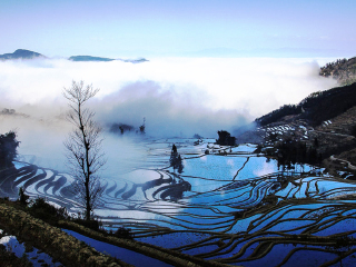 跟团昆明旅游多少钱_旅行团昆明旅游_去昆明旅游价格多少