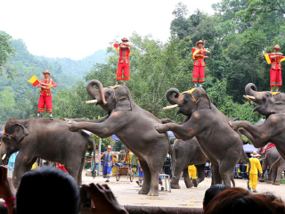 現在去云南西雙版納旅游多少錢_云南西雙版納旅游價格_去云南西雙版納旅游要多少錢