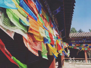 几月去鄂尔多斯旅游最便宜_鄂尔多斯11日游价格_鄂尔多斯游报价