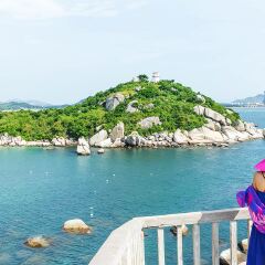 活动模块 