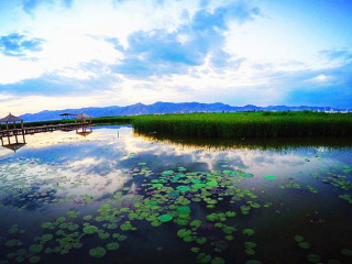 近期內(nèi)蒙古游價格_內(nèi)蒙古旅游團報價2021_內(nèi)蒙古游特價團