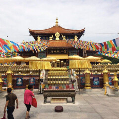 景点模块 