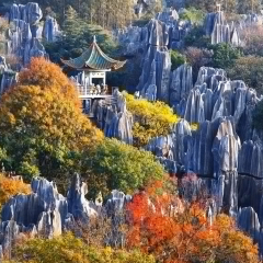 景点模块 