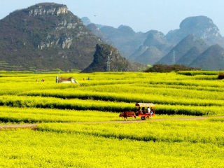深圳昆明旅游包团价格_出发昆明旅游线路_昆明8天游