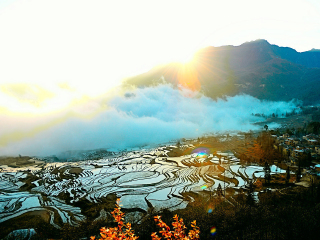 跟团昆明旅游多少钱_旅行团昆明旅游_去昆明旅游价格多少