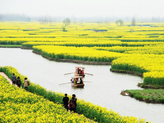 云南昆明旅游團(tuán)報(bào)價(jià)自由行_云南昆明游 旅行團(tuán)_云南昆明旅游費(fèi)用多少