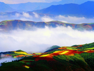 云南昆明旅游團(tuán)報(bào)價(jià)自由行_云南昆明游 旅行團(tuán)_云南昆明旅游費(fèi)用多少