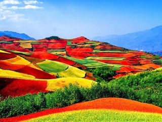 云南昆明旅游團(tuán)報(bào)價(jià)自由行_云南昆明游 旅行團(tuán)_云南昆明旅游費(fèi)用多少