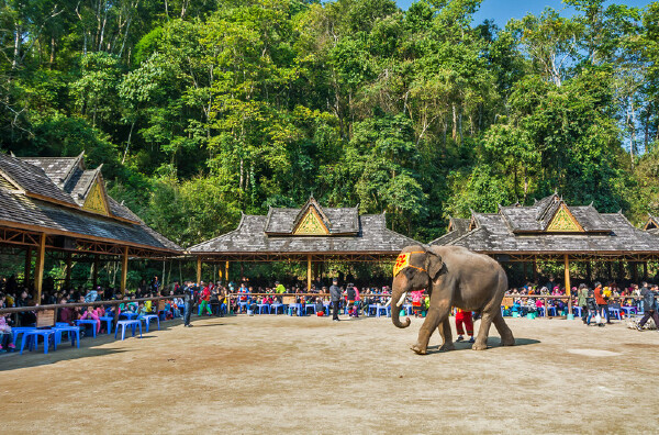 清明节去西双版纳穿衣指南_清明节去西双版纳
