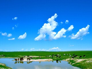 呼伦贝尔国际旅行_呼伦贝尔旅游组团旅游_呼伦贝尔旅游多少价格