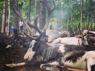 呼伦贝尔九日游多少钱_呼伦贝尔跟团旅游行程_跟团去呼伦贝尔旅游