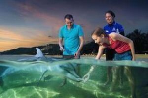 上海到澳大利亚7日旅游_1-3月上海到澳大利亚