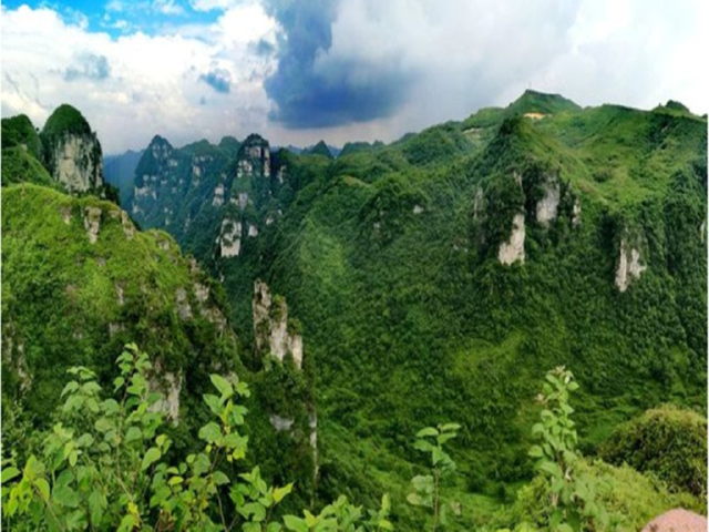 油杉河风景区 油杉河位于贵州省西部,毕节地区