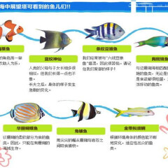 小交通模块 