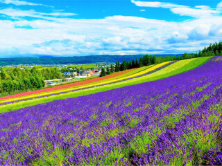 幾月份去日本最便宜_日本最佳旅游路線_十一日本游