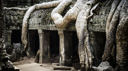 柬埔寨机票加当地4晚5或6日私家游 每单独立成