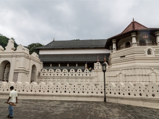 斯里蘭卡游報(bào)價(jià)_去斯里蘭卡靠譜的旅行團(tuán)_斯里蘭卡跟團(tuán)游與自由行