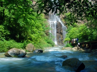 湖南張家界跟團(tuán)游的報(bào)價(jià)_湖南張家界國際旅行_暑假湖南張家界游價(jià)格