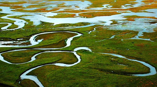 阿万仓湿地