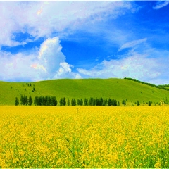 小交通模块 