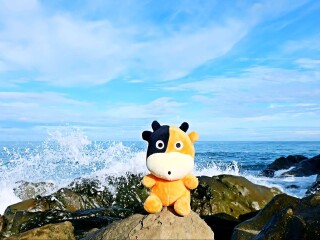 10月沙巴的旅游路线_组团到沙巴旅游_沙巴旅行团旅游