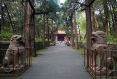 景点模块 