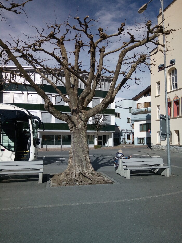 列支敦士登国旗含义_列支敦士登人均gdp(2)