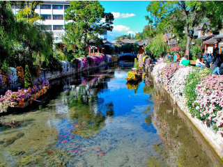 云南大理麗江特價(jià)旅游團(tuán)報(bào)價(jià)_云南大理麗江游跟團(tuán)_云南大理麗江旅行團(tuán)自由行