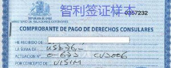 智利签证办理要求_智利签证办理要什么材料_