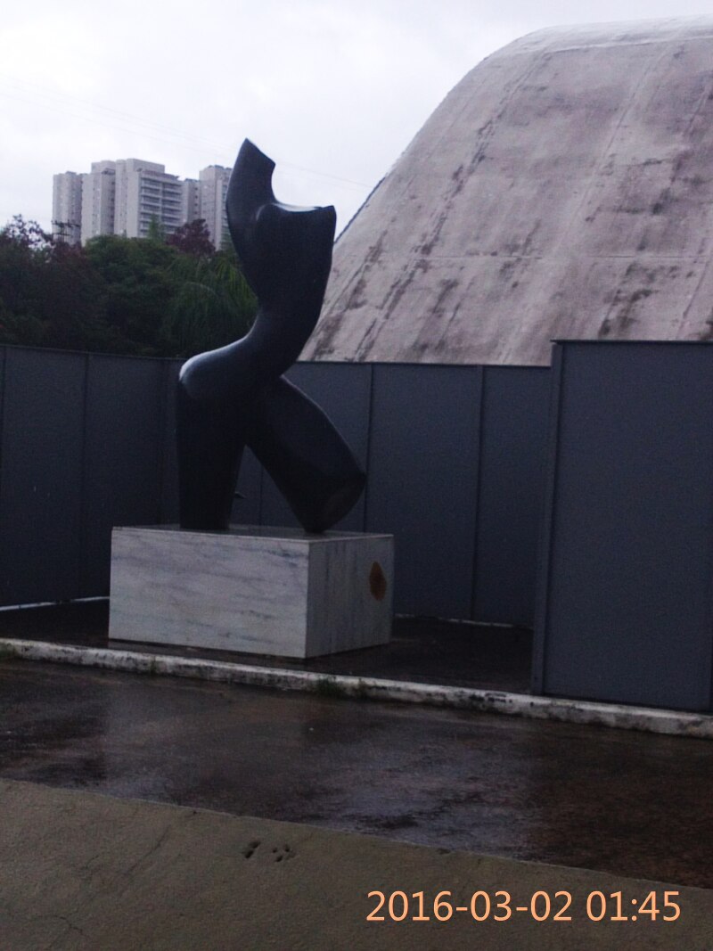 巴西第一大城市-圣保罗