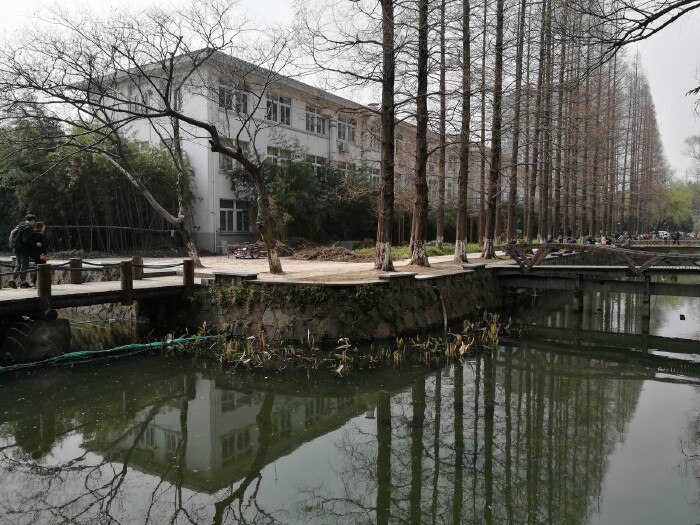 探春#同济校园内的小桥流水【多图】_同济大学游记