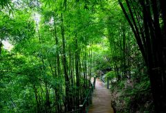景点模块 