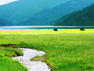 云南旅游参团_深圳去云南旅游团_去云南旅游团