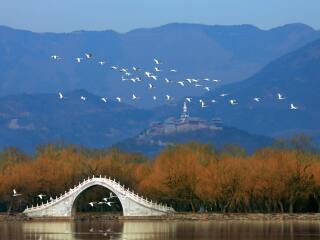 2021年北京天安門長(zhǎng)城旅游團(tuán)報(bào)價(jià)_北京天安門長(zhǎng)城跟團(tuán)游與自由行_北京天安門長(zhǎng)城九月旅游