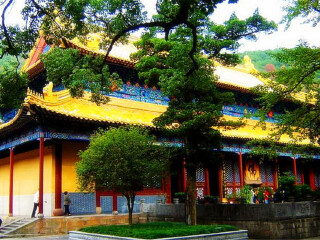 到普陀山旅游多少錢_跟團普陀山游價格_到普陀山旅游報團價格