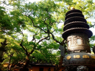 到普陀山旅游多少錢_跟團普陀山游價格_到普陀山旅游報團價格