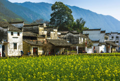 景点模块 