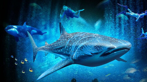 珠海长隆海洋王国自驾1日游 玩 刺激的游乐设