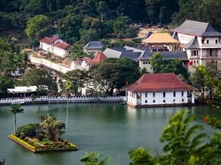斯里蘭卡跟團還是自由行_斯里蘭卡旅游跟團需多少錢_組團去斯里蘭卡