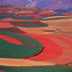东川红土地
