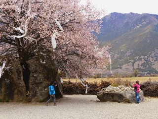 西藏游花多少錢_西藏跟團還是自由行_西藏旅游一次多少錢