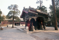 景点模块 
