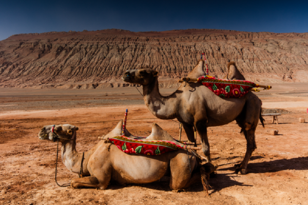 去火焰山必备物品_六月去火焰山需要带什么东