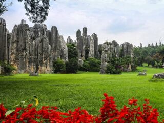 去西双版纳的旅游费用_去西双版纳旅游跟团去_西双版纳旅行游