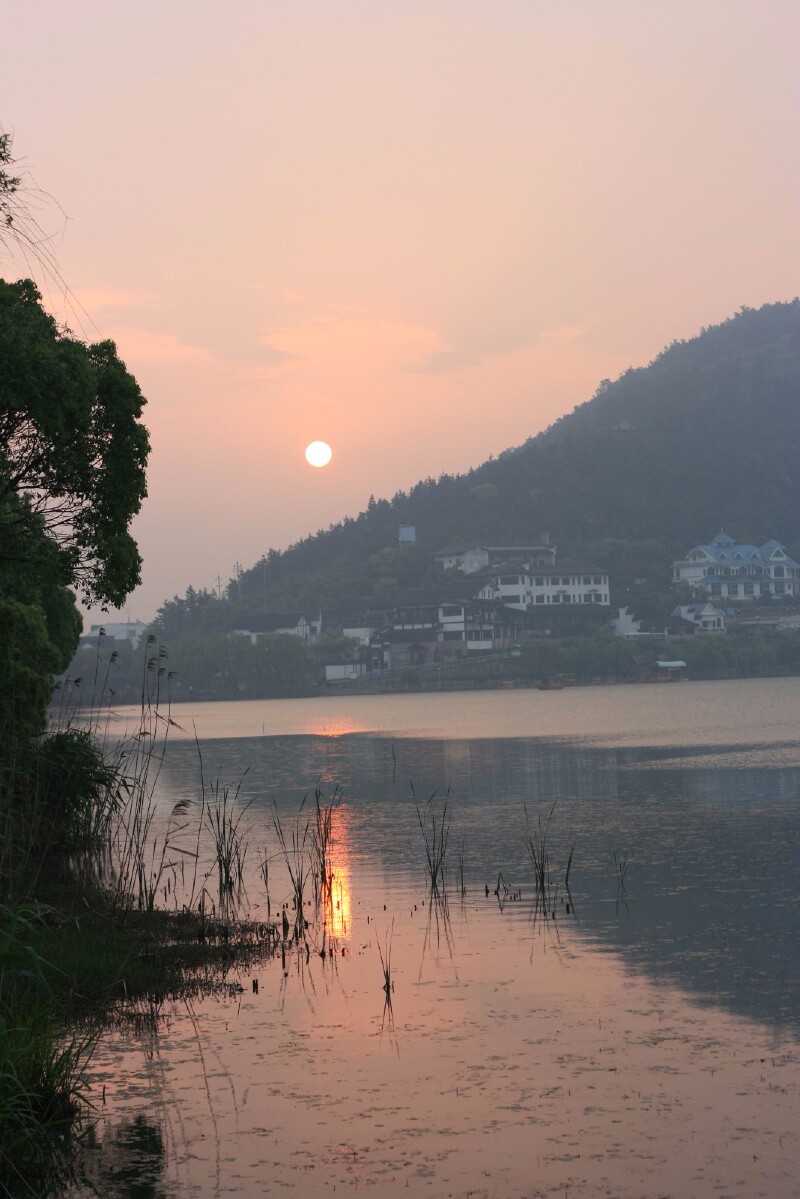探春#海盐南北湖