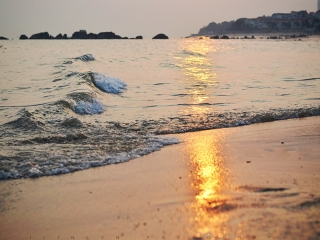 廈門鼓浪嶼旅游價格_廈門鼓浪嶼旅游要多少錢跟團_廈門鼓浪嶼旅行團自由行