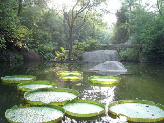 廈門鼓浪嶼游價(jià)格_廈門鼓浪嶼旅行團(tuán)旅游報(bào)價(jià)_旅游團(tuán)廈門鼓浪嶼