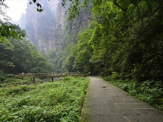 湖南鳳凰古城旅游價(jià)格多少_湖南鳳凰古城旅游最佳路線(xiàn)_湖南鳳凰古城旅游費(fèi)用