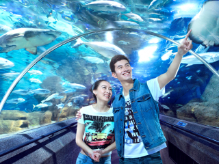大連游價(jià)格_大連旅游價(jià)格_大連旅游大約多少錢